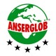 Пенопласт Anserglob EPS-60 0,5х1 м (30 мм)